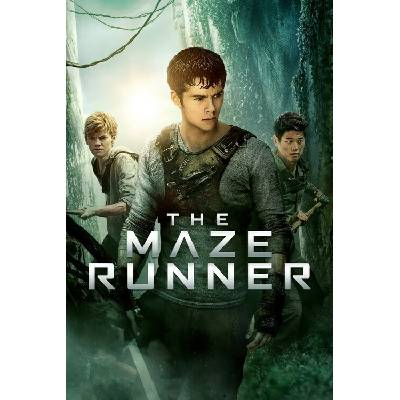 Europosters Plagát, Obraz - The Maze Runner (2014), 26.7 × 40 cm