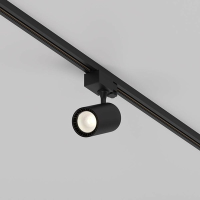 MAYTONI TR029-3-10W3K-S-B