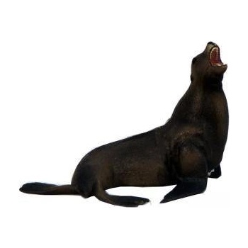 RAYA TOYS Детска фигурка за игра - Тюлен, 510116271