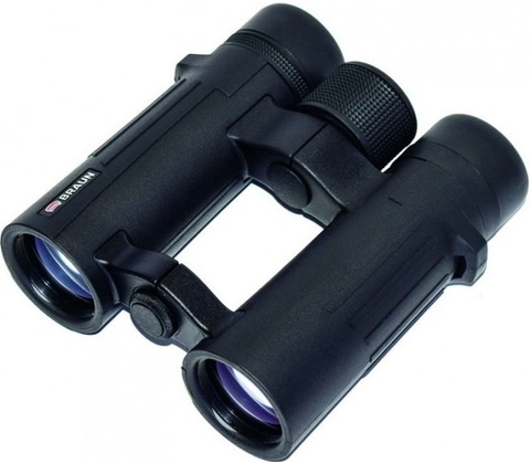 Braun Compagno 10x34 WP
