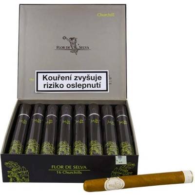 Flor de Selva Churchill Tubos 16 ks