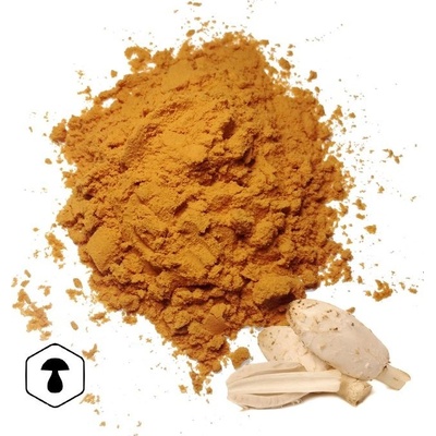 LifeChi Hnojník obecný Coprinus comatus extrakt v prášku 50 g