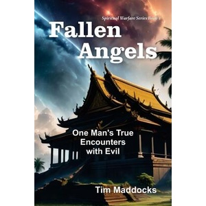 Fallen Angels | Tim Maddocks (ISBN: 9781479619320)
