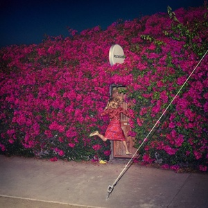 Universal Feist: Pleasure - CD (017180)