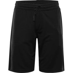 ALPINE PRO PREL L