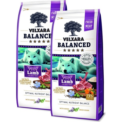 Velxara Balanced FM Dog Adult Monoprotein Lamb & Rice 2 x 12 kg