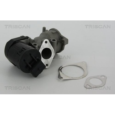 AGR - Ventil TRISCAN 8813 10001