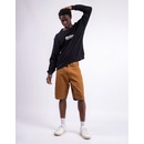 Dickies DUCK CANVAS shorts STONE WASHED BROWN DUCK
