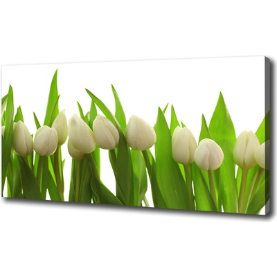 Foto obraz na plátne do obývačky Biele tulipány 100x50 cm