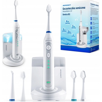 Berdsen Sonica B1
