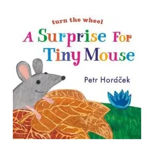 A Surprise for Tiny Mouse | Petr Horáček (ISBN: 9780763679675)