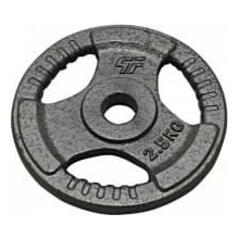 HAMMERTONE Litinový kotouč 2,5kg 29mm