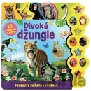 Džungle