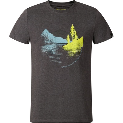 ALPINE PRO Мъжка спортна тениска с cool dry ALPINE PRO BOLEN тъмносив вариант pb ALPINE PRO | Siv | МЪЖЕ | XS