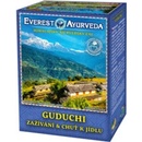 Čaje Everest Ayurveda Ajurvédsky čaj GUDUCHI 100 g
