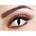 Eyecasions Лещи за очи Бяла Котка