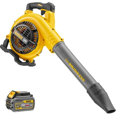 DeWalt DCM572X1
