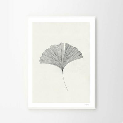 Moikka Plagát Ginkgo Leaf by Ana Frois 50x70 cm