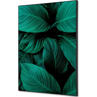 Jansen Display Textilní dekorace na zeď A2 Listy rostlin Zelená, 420 x 594 mm