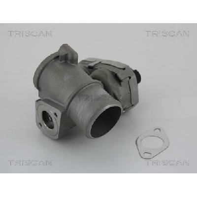 AGR - Ventil TRISCAN 8813 16101