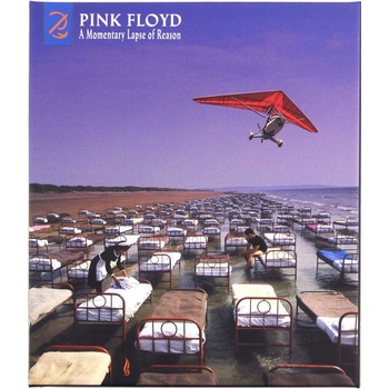 Pink Floyd - A Momentary Lapse Of Reason Remixed & Updated 2 CD