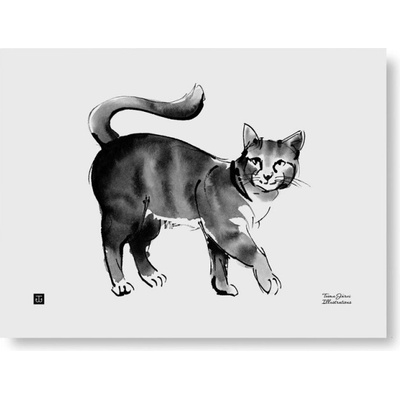 Plakát Cat 40x30