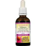Natural Factors Echinamide Echinacea Билкова тинктура, 50 ml, Natural Factors