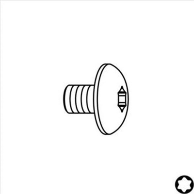 IGM F099-14000 - Náhradní šroub M 4 x 6,0 D9, uchycení na Torx 15