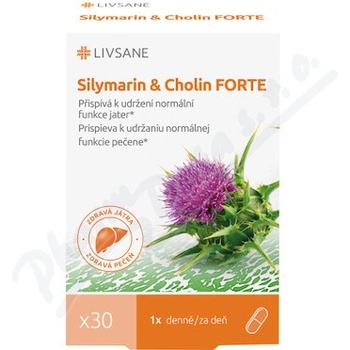 LIVSANE Silymarin&Cholin FORTE 30 tablet