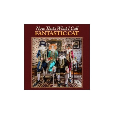 FANTASTIC CAT - NOW THAT\'S WHAT I CALL F 1 CD