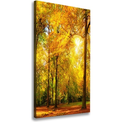 Vertikálny foto obraz canvas Les na jeseň 50x100 cm