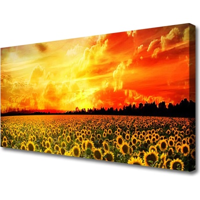 Obraz Canvas Lúka slnečnica kvety 100x50 cm