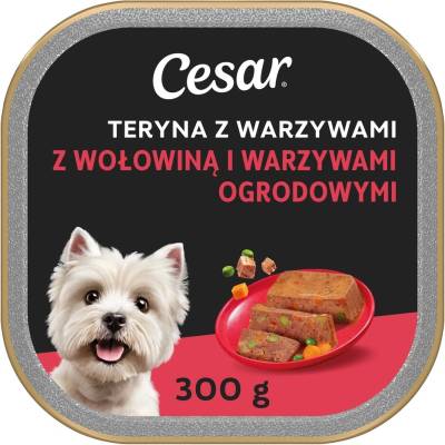 Cesar polievka so zeleninou s hovädzím mäsom a záhradnou zeleninou 300 g