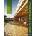 Contemporary Log Home: Solid Wood Homes for Residential Living | Marc Wilhelm Lennartz