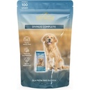 Divinus Puppy 4 kg