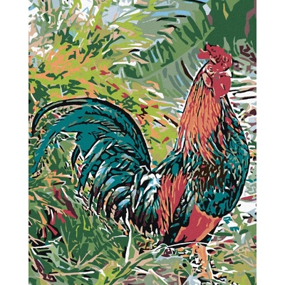 Zuty Malování podle čísel Kohout v trávě 40 x 50 cm bez rámu a bez vypnutí plátna
