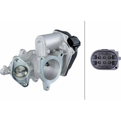 AGR - Ventil HELLA 6NU 010 171-291