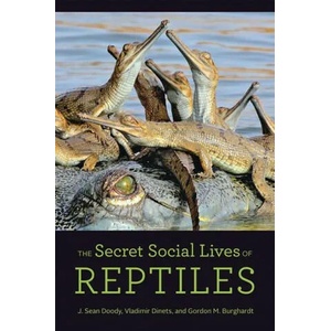 Secret Social Lives of Reptiles | Gordon M. Burghardt (ISBN: 9781421440675)