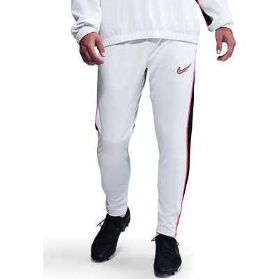 Nike Academy+ Training pants hj4245-121