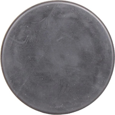 Panther hokejový puk sr – Zbozi.Blesk.cz