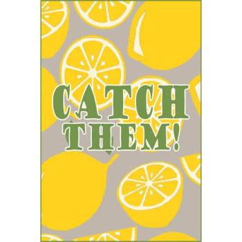 LTZinc Catch them! (PC)