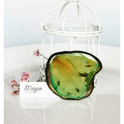 Meganflo Листо от роза в зелено