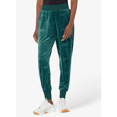 Reebok Classics Energy Q4 Velour Pants Teal