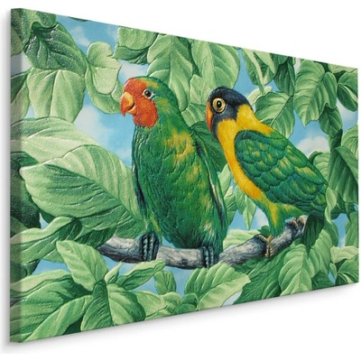 MyBestHome BOX Plátno Krásné Barevné Papoušky Varianta: 90x60