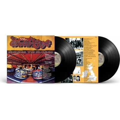 Waterboys - Room To Roam LP
