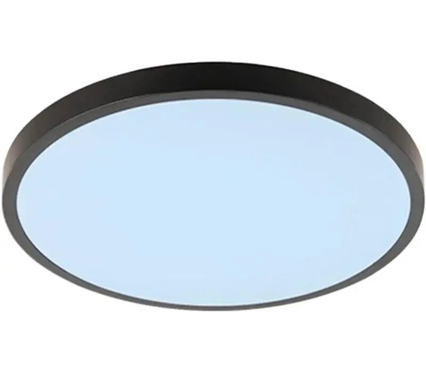 NEDES LCL555B