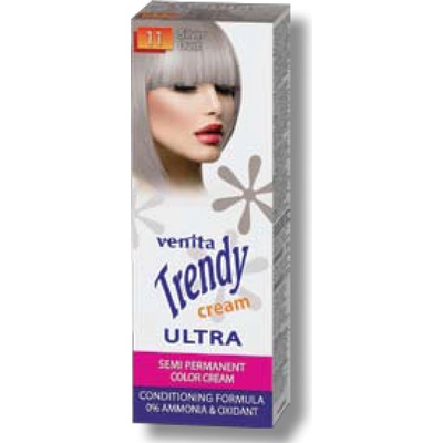 Venita Trendy Cream 11 strieborný prach 75 ml