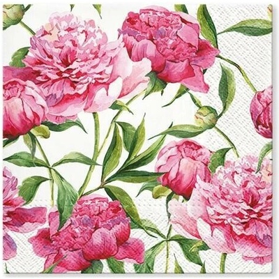 Tete ubrousky 20ks TL572000 33x33cm