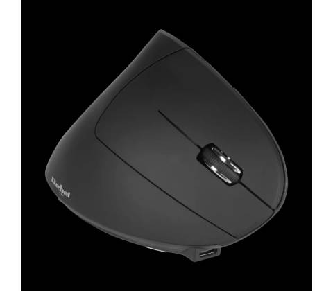 Rebel VM10