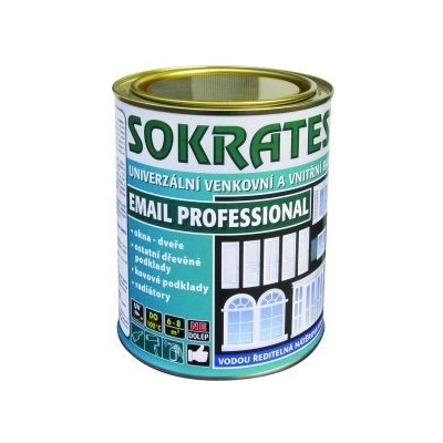 Sokrates Email professional lesklá barva 0,7kg 1000